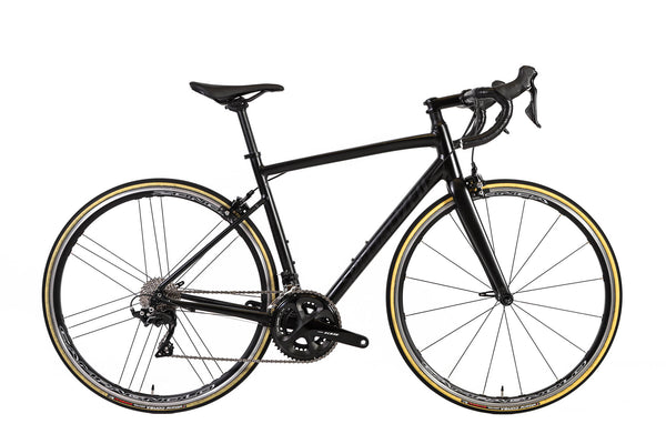 Specialized allez elite road bike 2019 hot sale